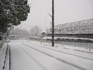 近所の道路.JPG