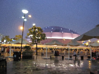 ３０日本館夜景.JPG