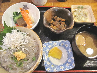 25日２４生しらす丼.JPG