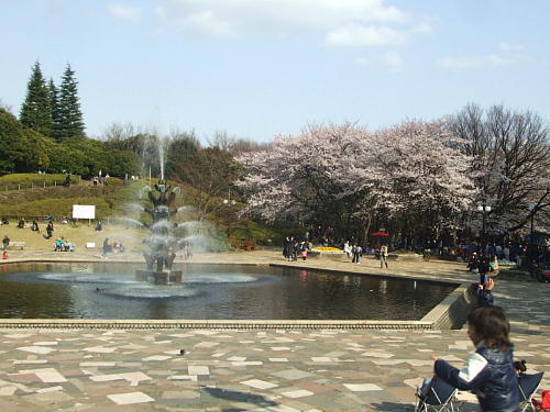 世田谷公園