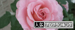 ブログランキング薔薇