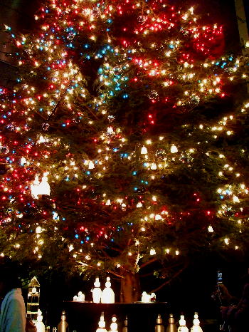 20081121 ミキモトビル16時47分