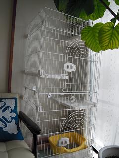 DSCN0412.JPG