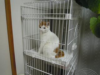 DSCN0418.JPG