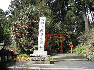 DSCN0511.JPG