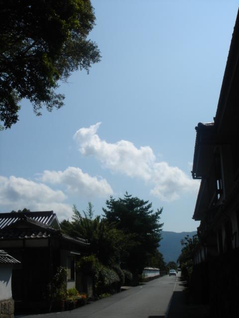 空3.JPG