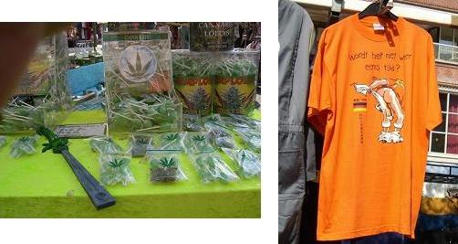 cannabis3.JPG