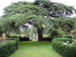 hidcote