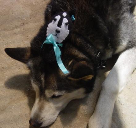 サブ（2007年4月29日）