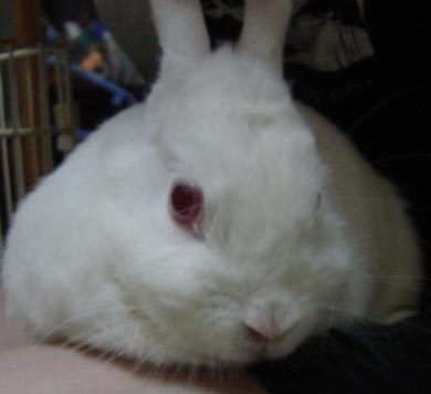 ＭＩＥ（2006/08/28）