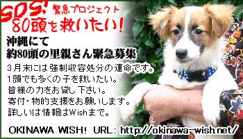 沖縄Ｗｉｓｈ！
