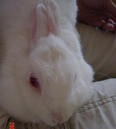 ＱＯＯ（2006/10/08：No,1）