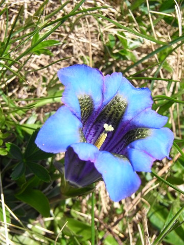 RIMG0030.JPG