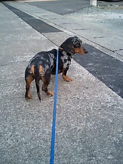070220_1731~0001.jpg