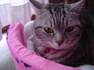 DSC00048.jpg