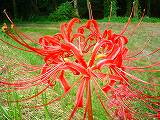 DSC04307.jpg