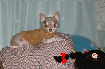 DSC_0001.JPG