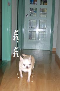 DSC_9863.JPG