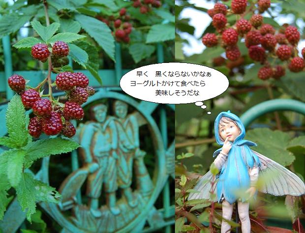 DSC_0327.JPG