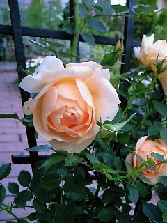 200804191832001.jpg