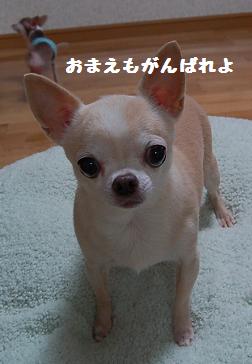 DSC_0062.JPG