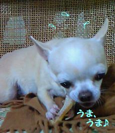 200801211819000.jpg