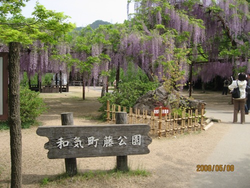和気藤公園16a.jpg