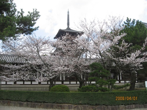 法隆寺04a.jpg