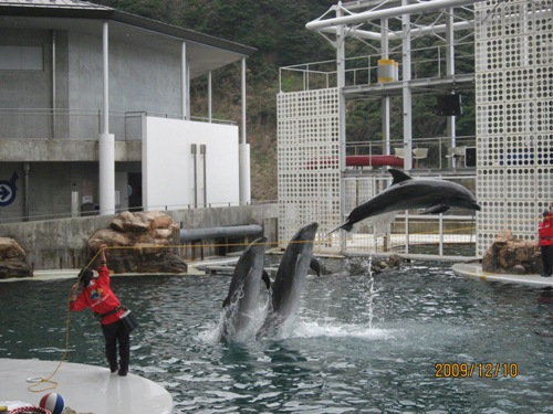 城崎マリンワールドo2.JPG