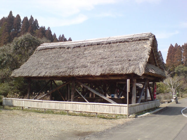 SN380298 のリサイズ画像.jpg