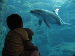 海遊館