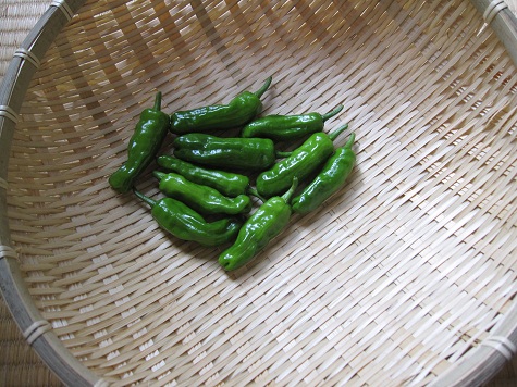 家庭菜園