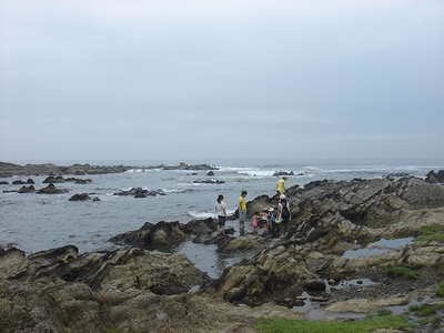 20100704-6.jpg