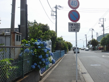 20100614-6.jpg