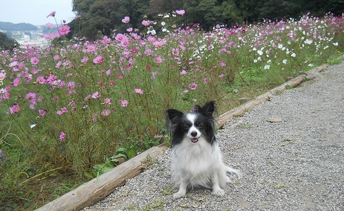 20111202BOT.jpg