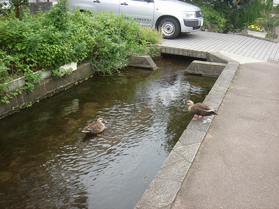 20100704-2.jpg