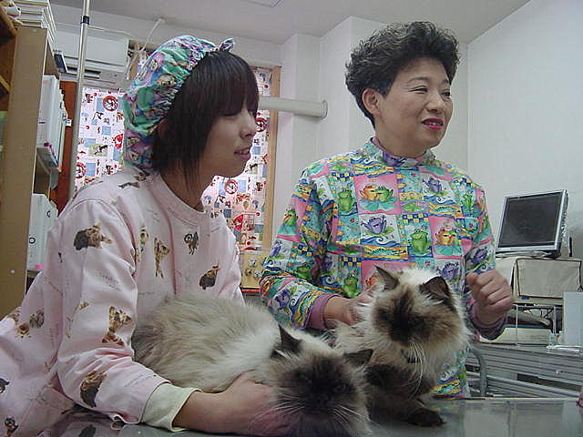 DSC05546.JPG