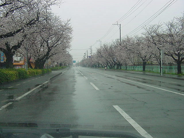 DSC08397.JPG