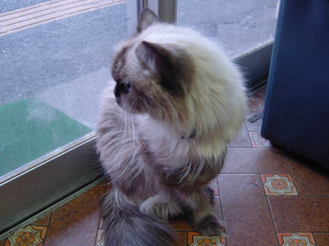 DSC05195.JPG