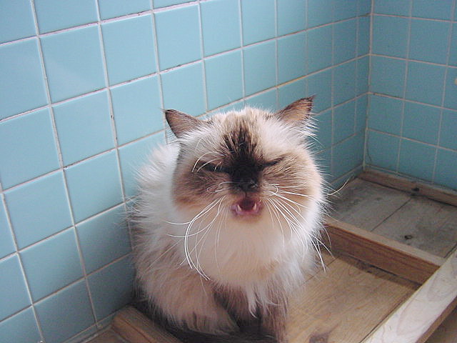 DSC01427.JPG