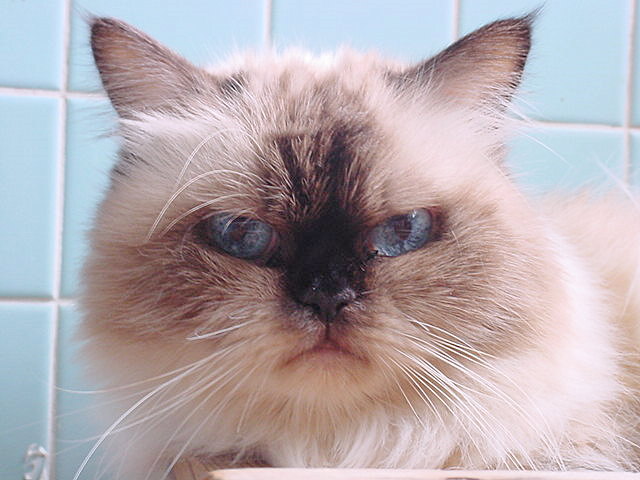 DSC01597.JPG