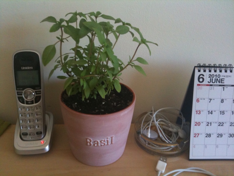 basil.jpg