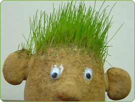 GrassHeadcopy.jpg