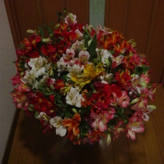 アルストロメリア