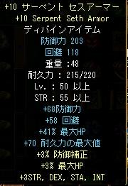 セスアーマー.JPG