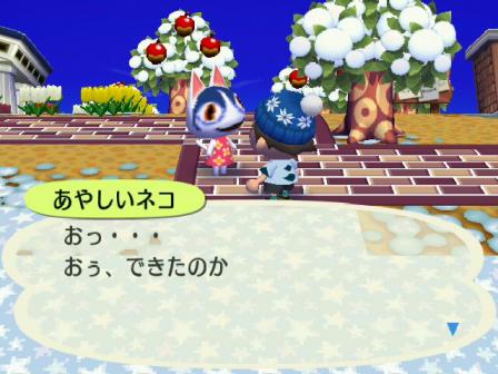 あやしいネコ