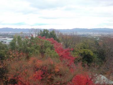 2008-11-30 18:55:21