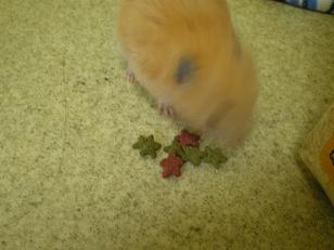 金ちゃんの食