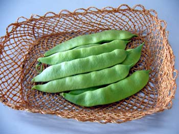 モロッコインゲン