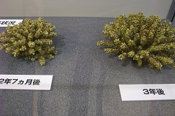 画像 003.jpg